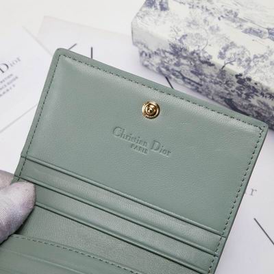 Dior 0178 9x11cm wz (27)