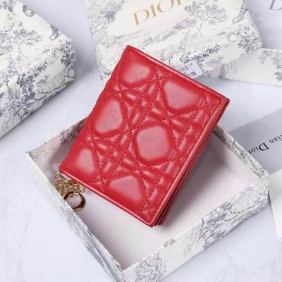 Dior 0178 9x11cm wz (29)