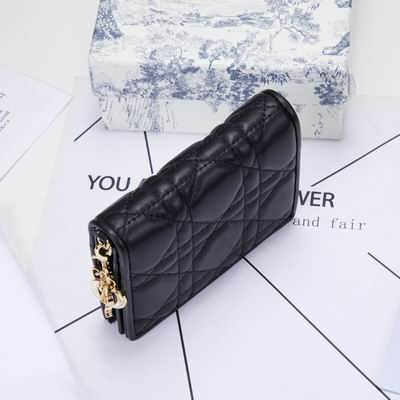Dior 0178 9x11cm wz (3)