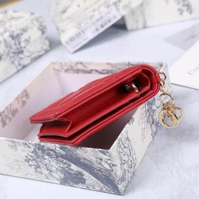 Dior 0178 9x11cm wz (30)