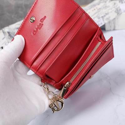 Dior 0178 9x11cm wz (32)