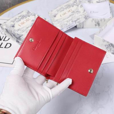 Dior 0178 9x11cm wz (34)