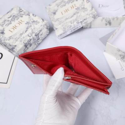 Dior 0178 9x11cm wz (36)