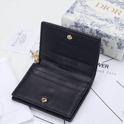 Dior 0178 9x11cm wz (6)
