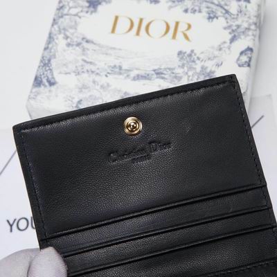 Dior 0178 9x11cm wz (7)