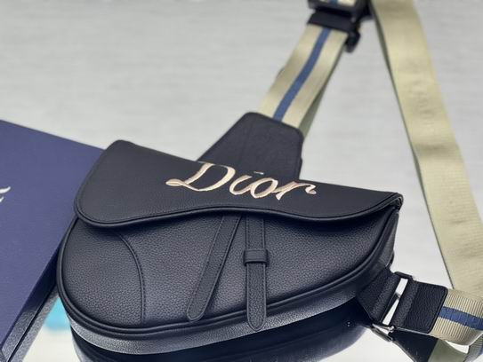 Dior 1ADPO093绣花 26x19x4.5cm wz (2)
