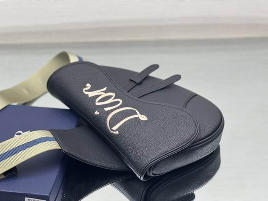 Dior 1ADPO093绣花 26x19x4.5cm wz (4)