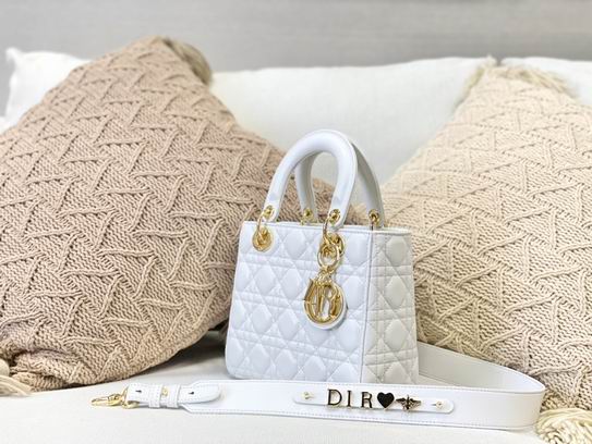 Dior 20x16.5x8cm yz (2)