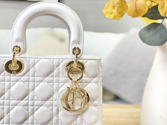 Dior 20x16.5x8cm yz (3)