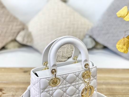 Dior 20x16.5x8cm yz (5)