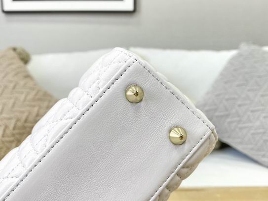 Dior 20x16.5x8cm yz (6)