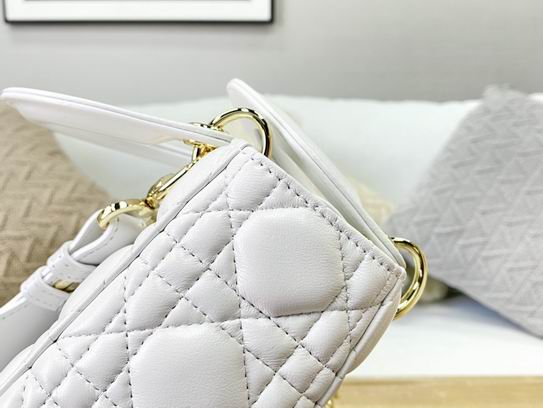 Dior 20x16.5x8cm yz (7)