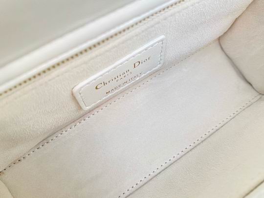 Dior 20x16.5x8cm yz (8)