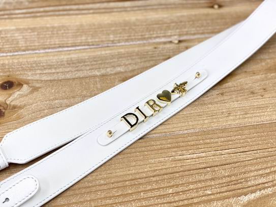 Dior 20x16.5x8cm yz (9)