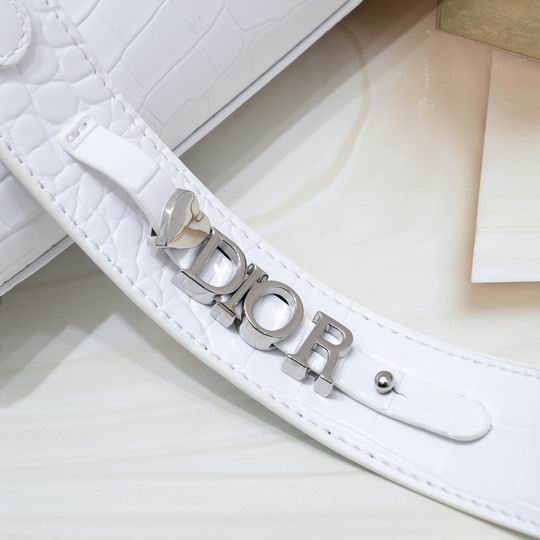 Dior 20x16.5x8cm zy1_8