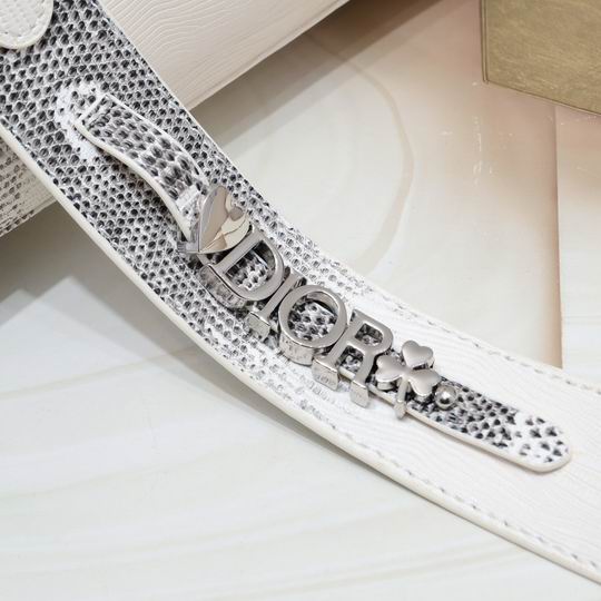 Dior 20x16.5x8cm zy_7