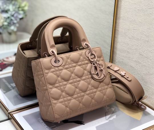 Dior 2224s 20cm wo (28)