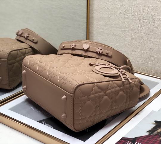 Dior 2224s 20cm wo (29)