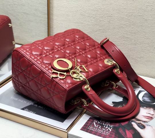 Dior 2242 Lady 24cm yz (21)