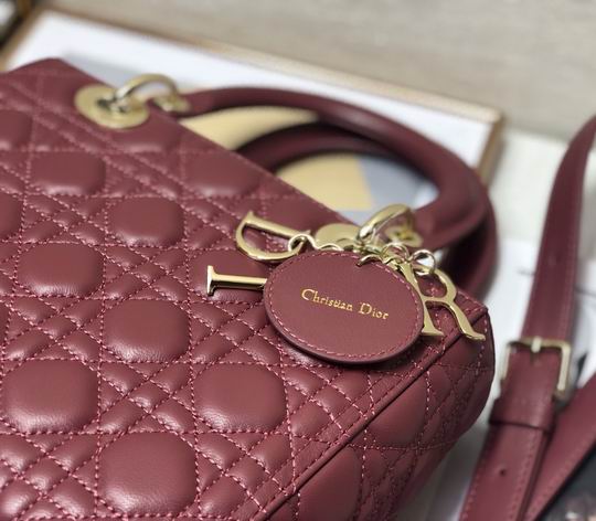 Dior 2242 Lady 24cm yz (6)