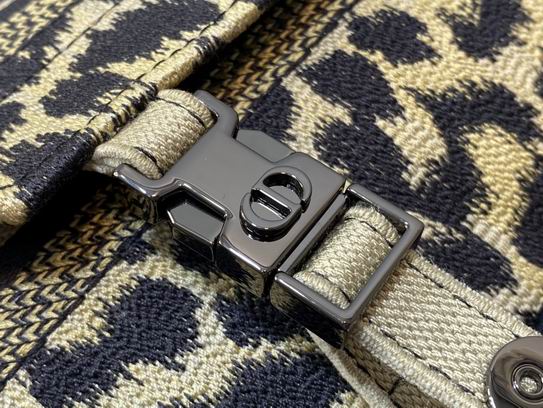 Dior 23x15x8cm wz3色 (16)