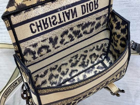 Dior 23x15x8cm wz3色 (18)