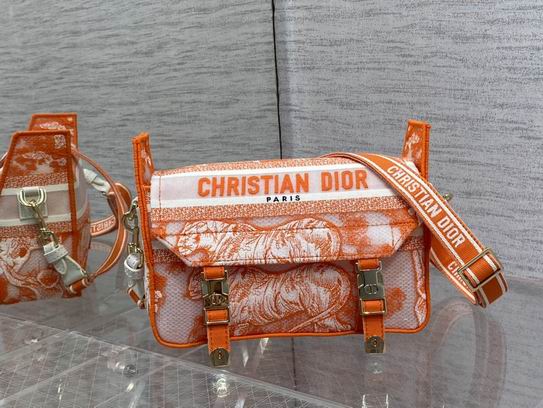 Dior 23x8x15cm wz (11)