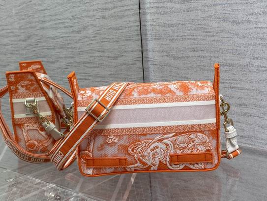 Dior 23x8x15cm wz (15)