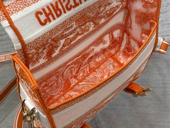 Dior 23x8x15cm wz (17)