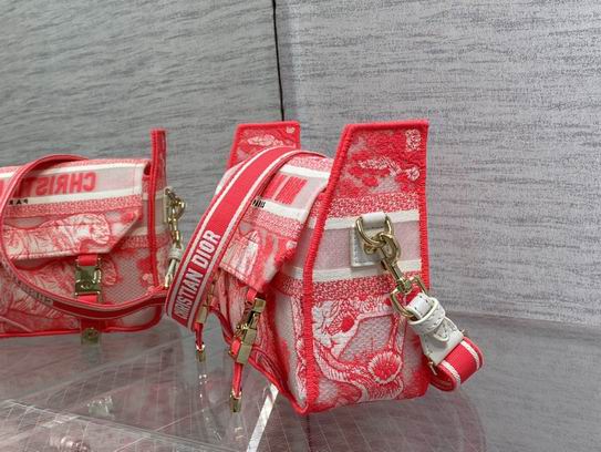 Dior 23x8x15cm wz (22)