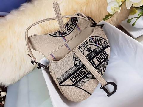 Dior 25.5x20x6.5cm yz1 (4)