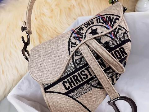 Dior 25.5x20x6.5cm yz1 (5)