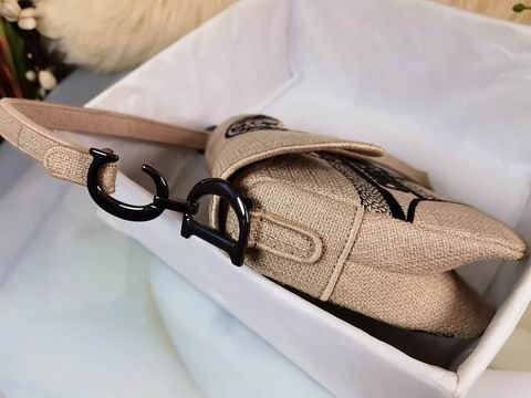 Dior 25.5x20x6.5cm yz1 (7)