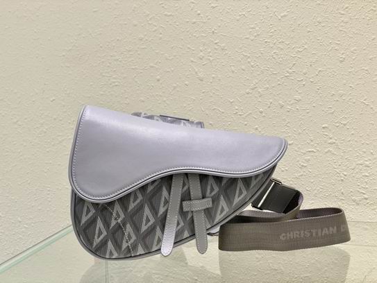 Dior 26x19x4.5cm wo (1)