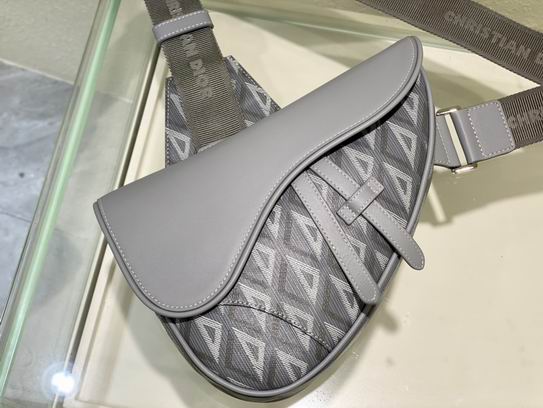 Dior 26x19x4.5cm wo (3)