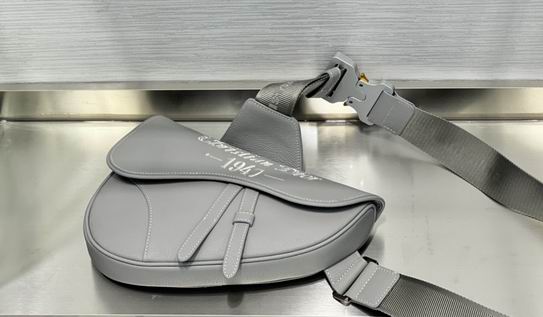 Dior 26x19x4.5cm wz (2)