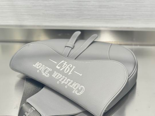 Dior 26x19x4.5cm wz (5)