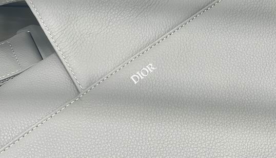 Dior 26x19x4.5cm wz (6)