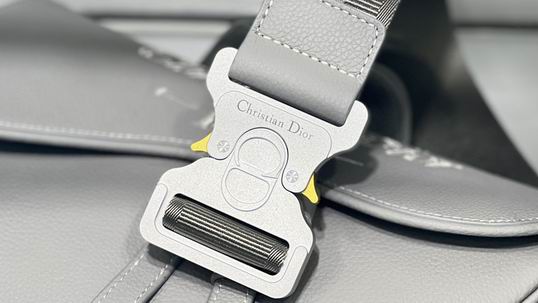 Dior 26x19x4.5cm wz (7)