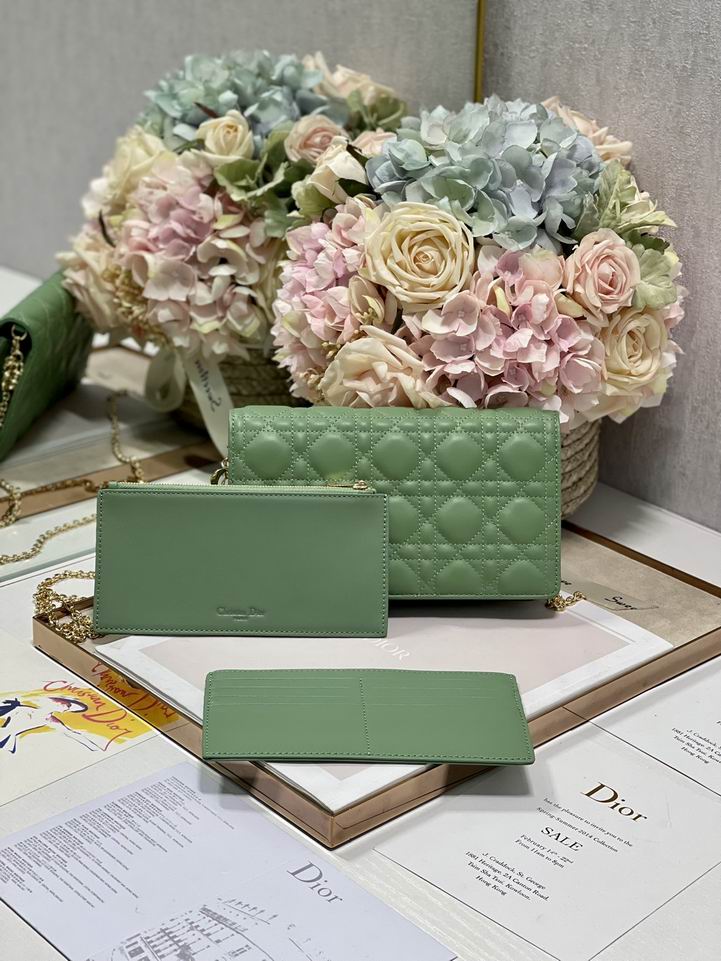 Dior 77035金 绿 黑色 21.5x11.5x3cm wz (10)