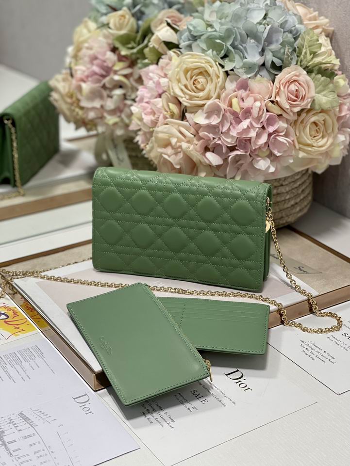 Dior 77035金 绿 黑色 21.5x11.5x3cm wz (11)