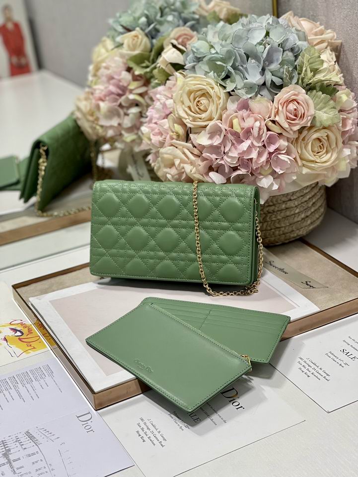 Dior 77035金 绿 黑色 21.5x11.5x3cm wz (14)