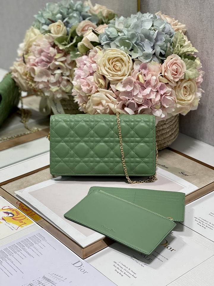 Dior 77035金 绿 黑色 21.5x11.5x3cm wz (15)