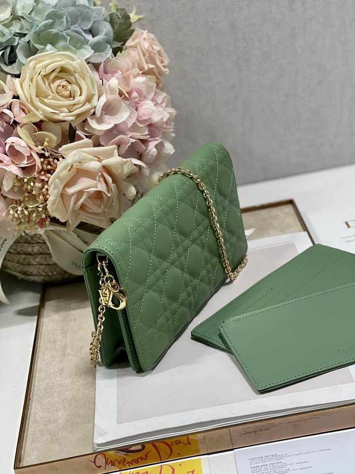 Dior 77035金 绿 黑色 21.5x11.5x3cm wz (17)