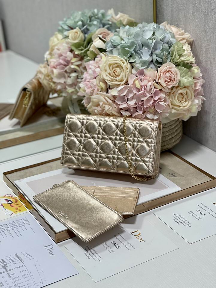 Dior 77035金 绿 黑色 21.5x11.5x3cm wz (26)