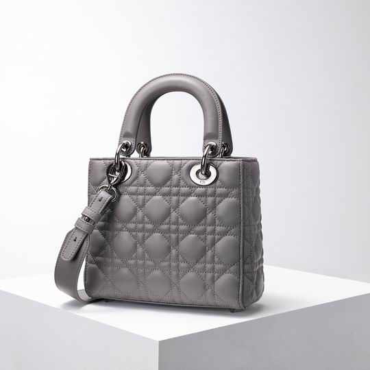 Dior 8878 20x16.5x8cm wz (12)