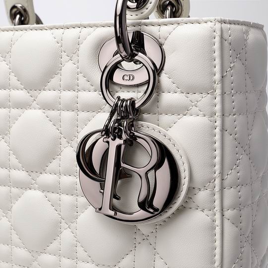 Dior 8878 20x16.5x8cm wz (23)