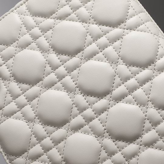 Dior 8878 20x16.5x8cm wz (25)