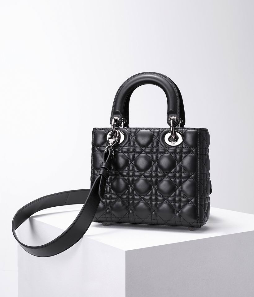Dior 8878 20x16.5x8cm wz (3)