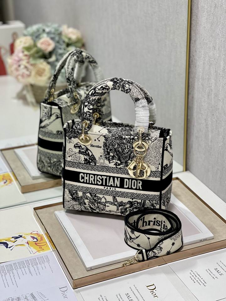 Dior 9027 24x20x11cm yz (4)